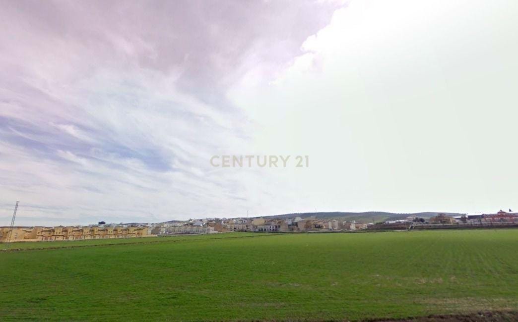 Land in Sierra de Yeguas, Andalusia, Spain 1 - 15740061