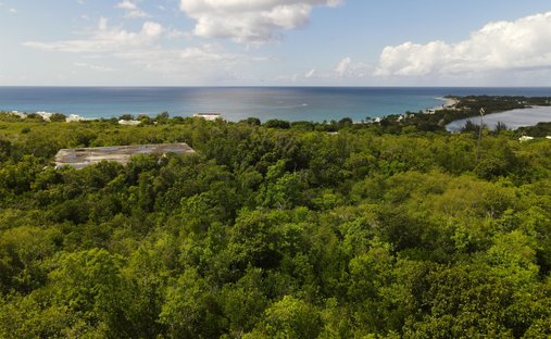 Land in Les Terres Basses, Collectivity of Saint Martin, Saint Martin 1