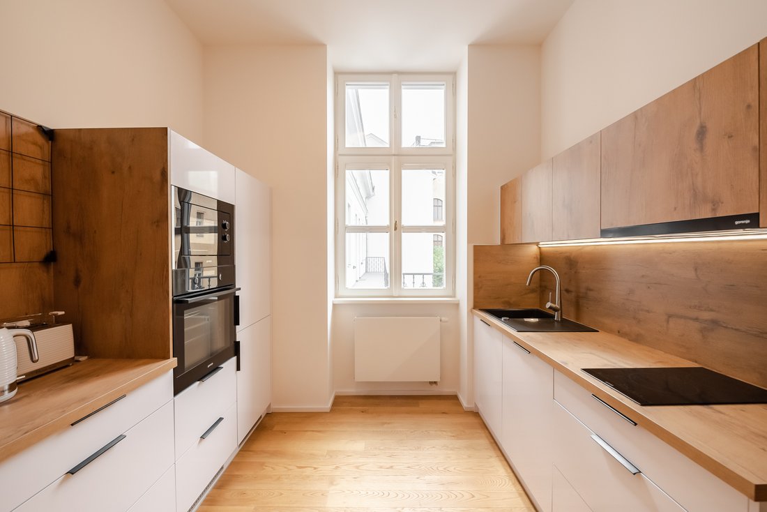 Apartment in Prague, Prague, Czechia 4 - 15256352