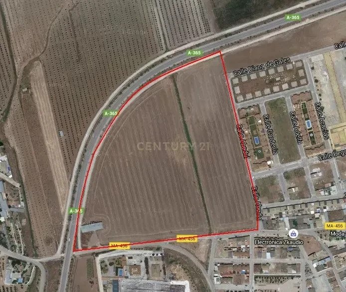 Land in Sierra de Yeguas, Andalusia, Spain 5 - 15740061
