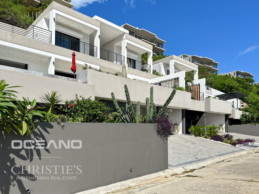 Estate in Guana Bay, Saint Martin (French part) 1 - 14973512