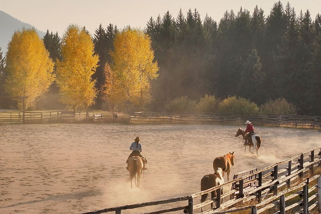 Farm Ranch in Jackson, Wyoming, United States 5 - 15742018