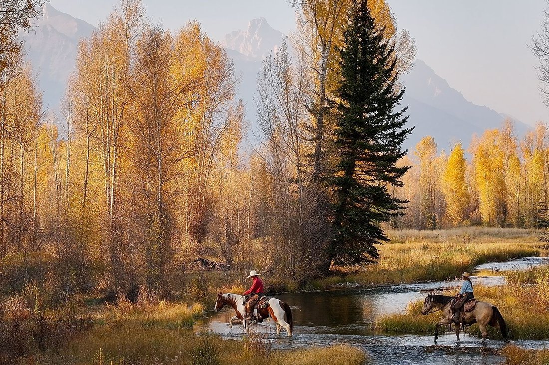 Farm Ranch in Jackson, Wyoming, United States 2 - 15742018