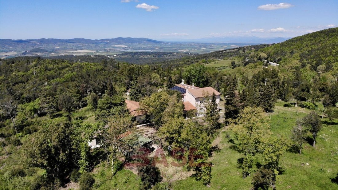 Villa in Castellina Marittima, Tuscany, Italy 5 - 15742768
