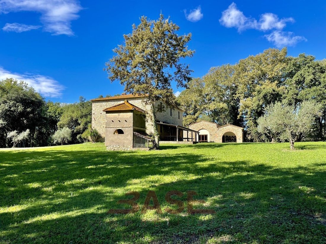Casa di campagna a Guardistallo, Toscana, Italia 5 - 15742308