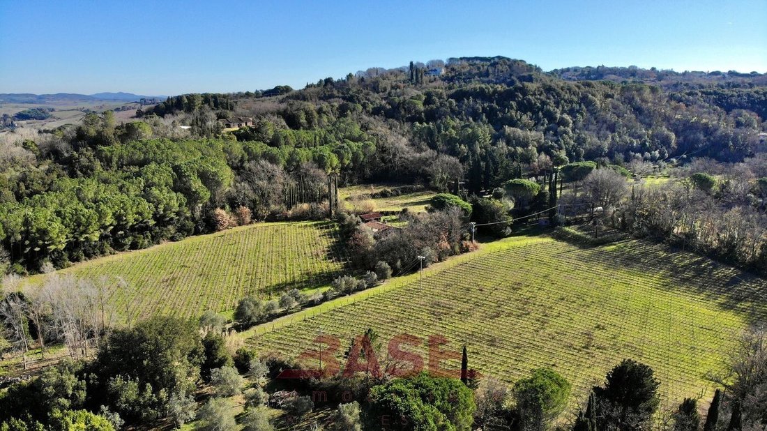 Estate in Montescudaio, Tuscany, Italy 2 - 15742702