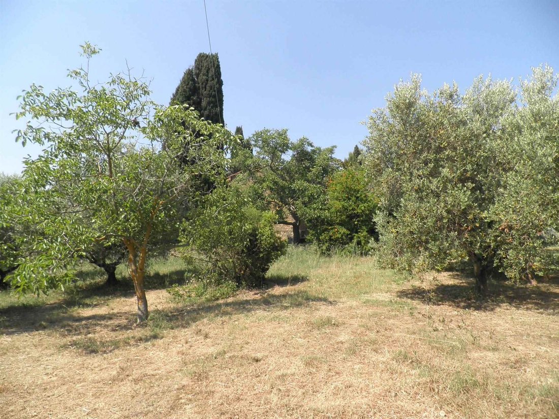 Country House in Livorno, Tuscany, Italy 5 - 15741162