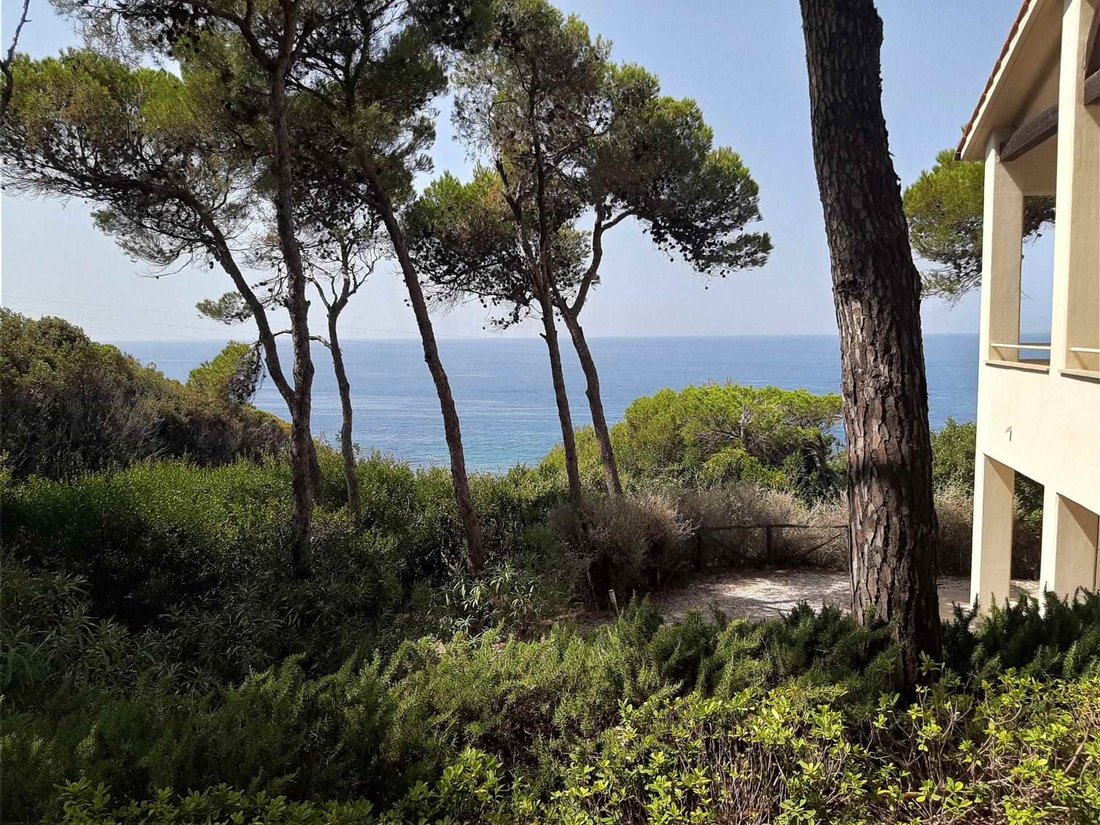 Villa in Castiglioncello, Rosignano Marittimo, Tuscany 4 - 15742472