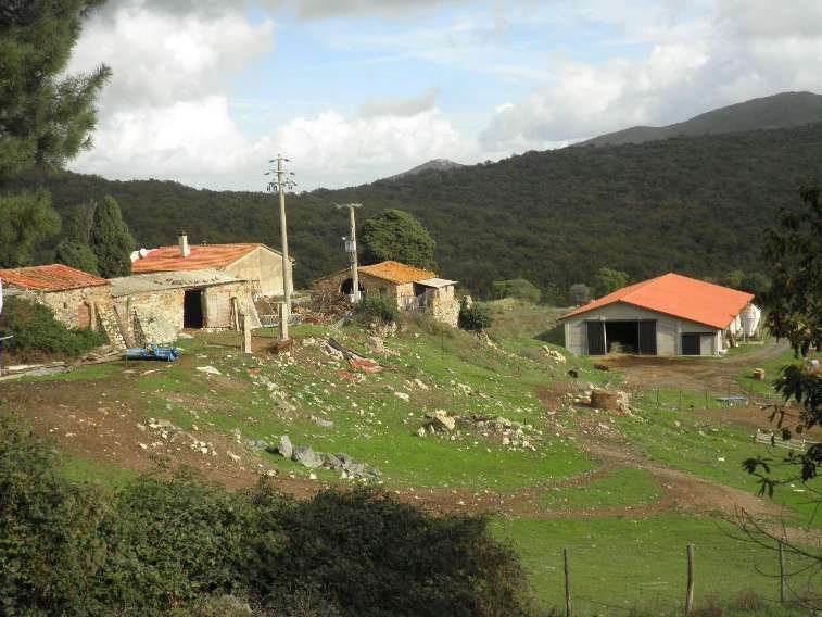 Country House in Livorno, Tuscany, Italy 1 - 15742370