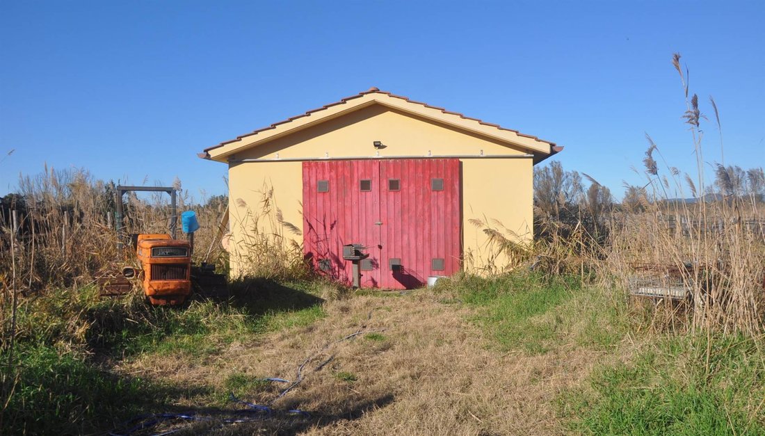 Country House in Vada, Rosignano Marittimo, Tuscany 5 - 15742897