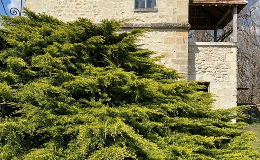 Castle for Sale in Oigny-en-Valois, Hauts-de-France, France