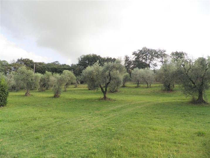 Country House in Monte alla Rena Center, Rosignano Marittimo, Italy 5 - 15742304