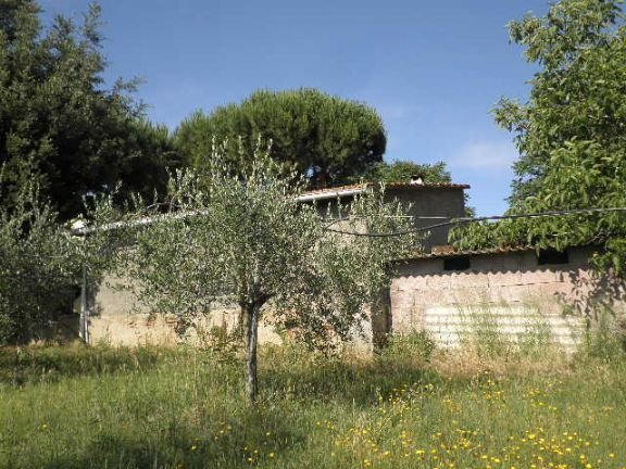 Apartment in Monte alla Rena Center, Rosignano Marittimo, Italy 5 - 15742823