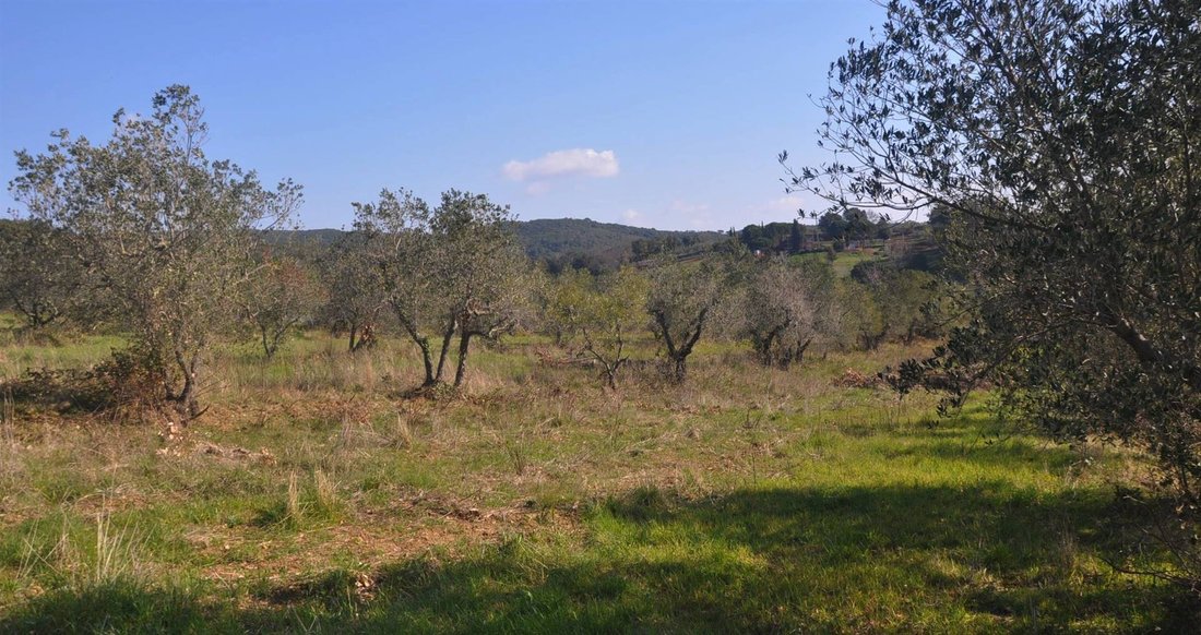 Country House in Monte alla Rena Center, Rosignano Marittimo, Italy 5 - 15742436