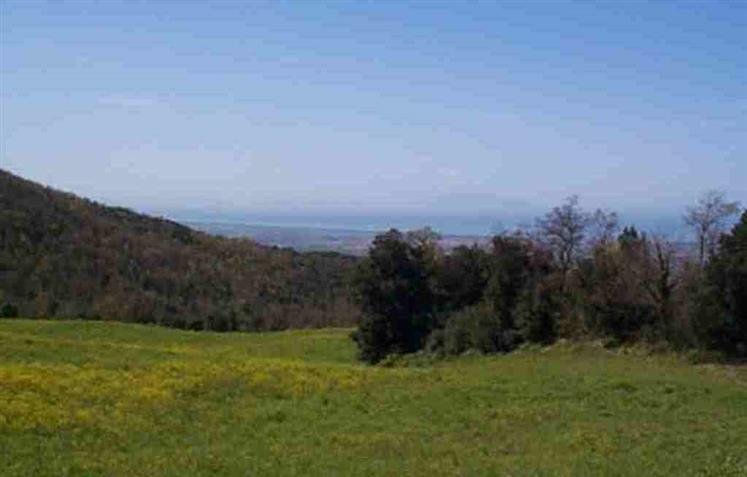 Country House in Monte alla Rena Center, Rosignano Marittimo, Italy 2 - 15742744