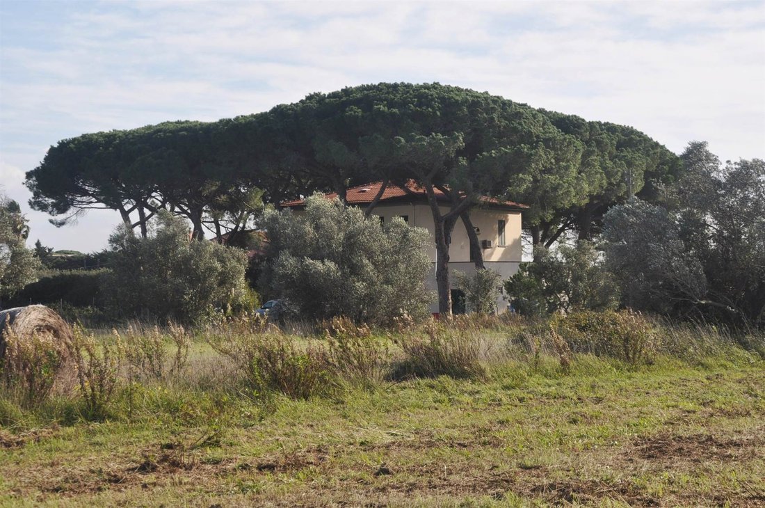 Villa in Monte alla Rena Center, Rosignano Marittimo, Italy 3 - 15742398