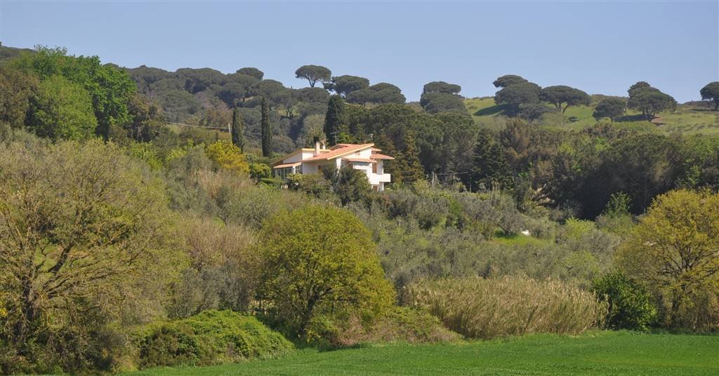 Villa in Monte alla Rena Center, Rosignano Marittimo, Italy 1 - 15742754