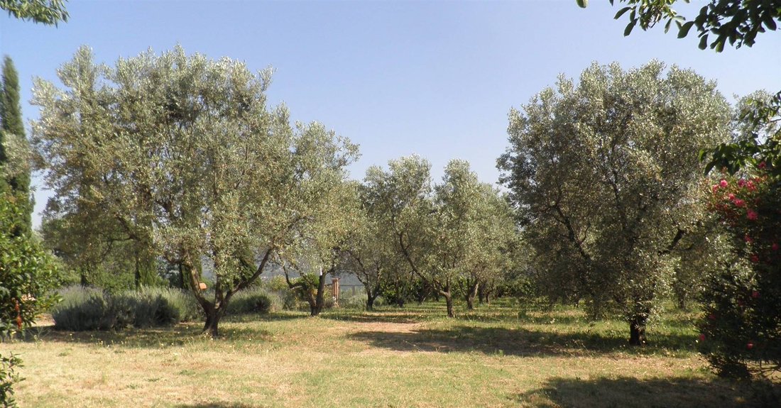 Country House in Livorno, Tuscany, Italy 1 - 15741162