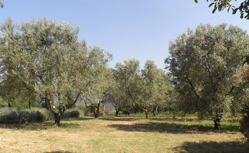 Country House in Livorno, Tuscany, Italy 1