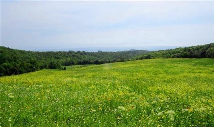 Country House in Monte alla Rena Center, Rosignano Marittimo, Italy 1 - 15742744