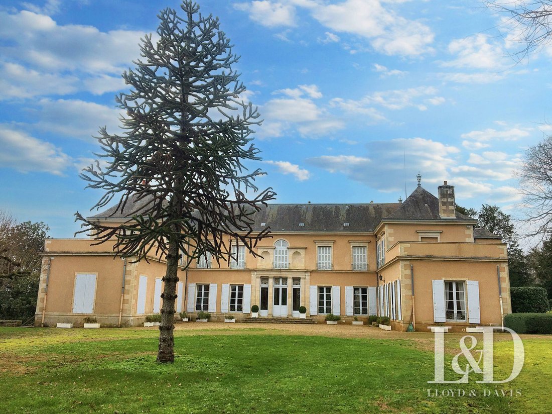 Jazeneuil: A Poetic Château Where Time Dances in Painted Ceilings