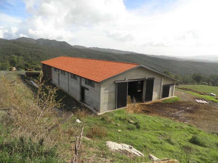 Country House in Livorno, Tuscany, Italy 5 - 15742370