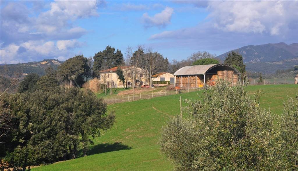 Country House in Monte alla Rena Center, Rosignano Marittimo, Italy 2 - 15742759