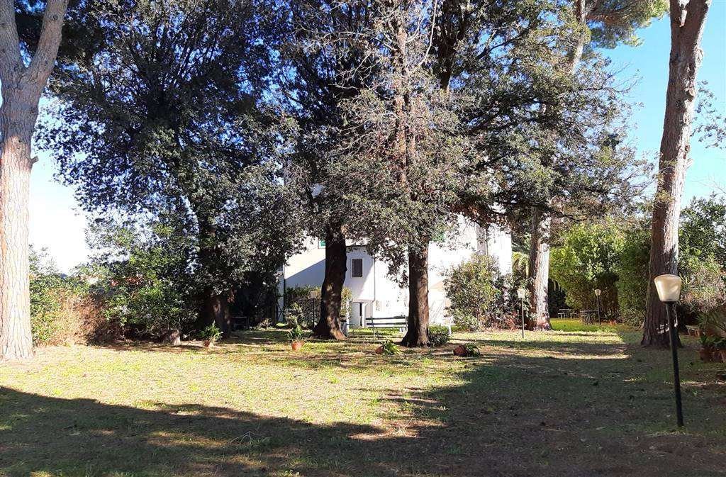 Country House in Saint Peter in Palazzi - Collemezzano - Cat's Hole, Cecina, Tuscany 4 - 15742810
