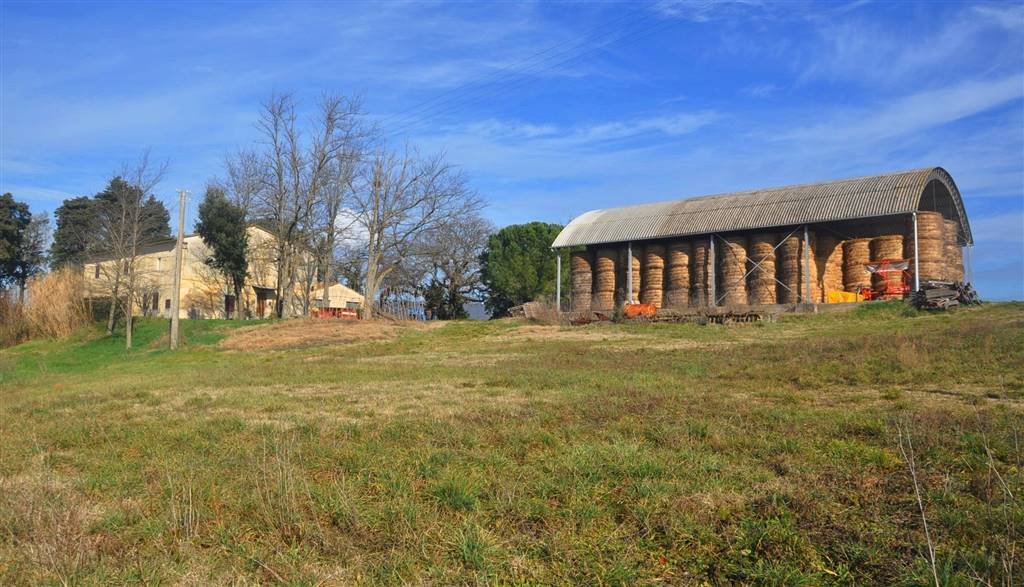 Country House in Monte alla Rena Center, Rosignano Marittimo, Italy 4 - 15742759