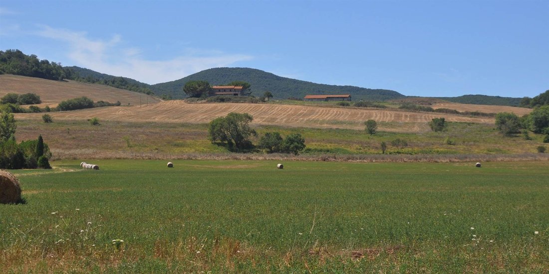 Country House in Monte alla Rena Center, Rosignano Marittimo, Italy 1 - 15742929