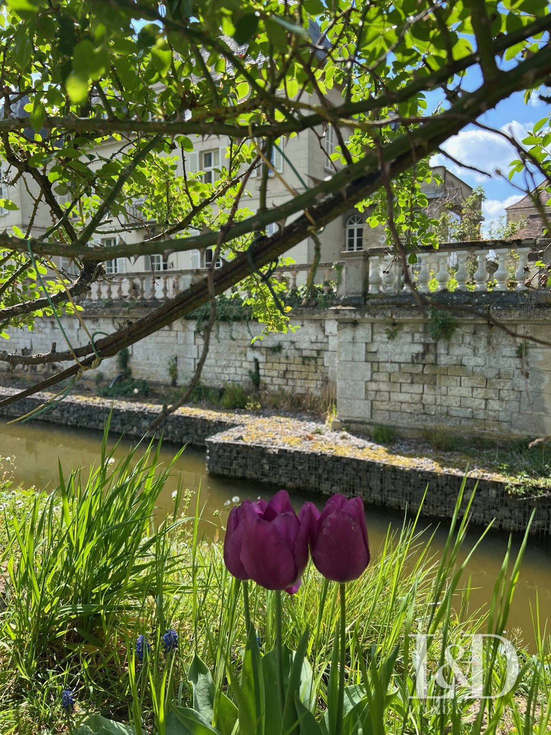 The Crowned Retreat: A 16th-Century Château Whispering Royal Secrets Near Paris
