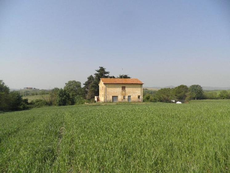 Country House in Santa Luce, Tuscany, Italy 1 - 15742640