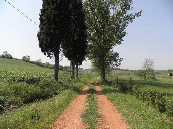 Country House in Monte alla Rena Center, Rosignano Marittimo, Italy 5 - 15742602