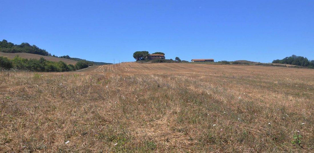 Country House in Monte alla Rena Center, Rosignano Marittimo, Italy 2 - 15742929