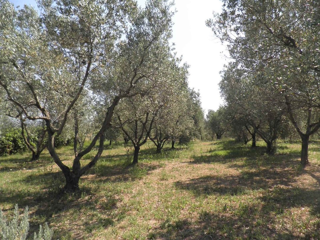Country House in Livorno, Tuscany, Italy 3 - 15741162