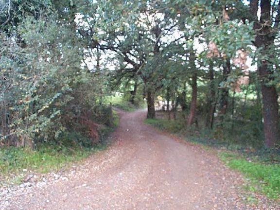 Country House in Monte alla Rena Center, Rosignano Marittimo, Italy 5 - 15742812