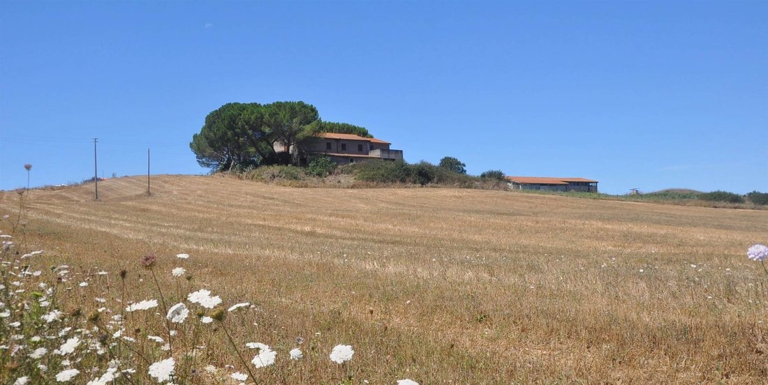 Country House in Monte alla Rena Center, Rosignano Marittimo, Italy 4 - 15742929