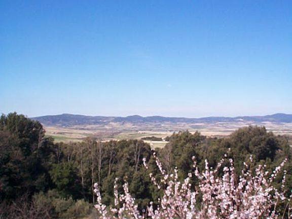 Villa in Castellina Marittima, Tuscany, Italy 5 - 15741218