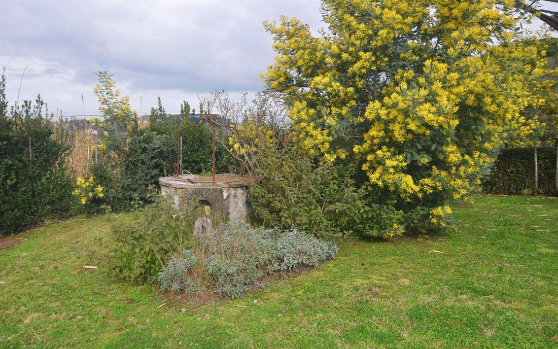 Villa in Fauglia, Tuscany, Italy 3 - 15742578