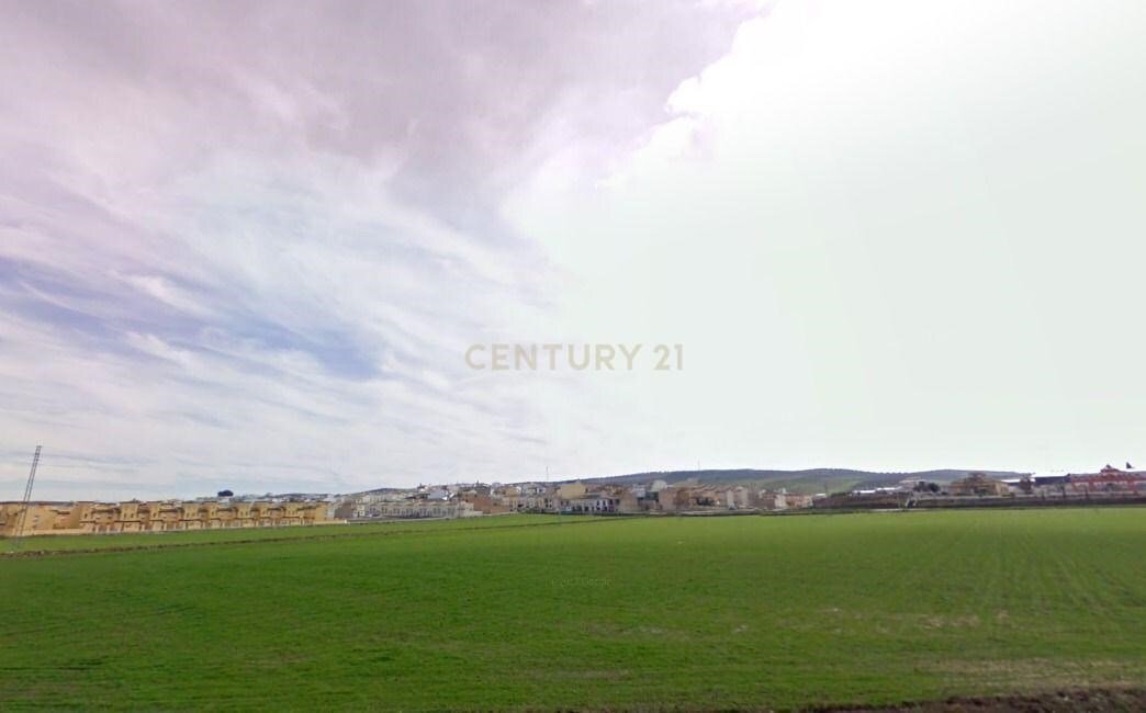 Land in Sierra de Yeguas, Andalusia, Spain 3 - 15740061