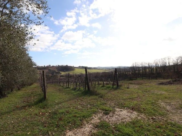 Villa in Historic Center, Siena, Tuscany 3 - 15744098