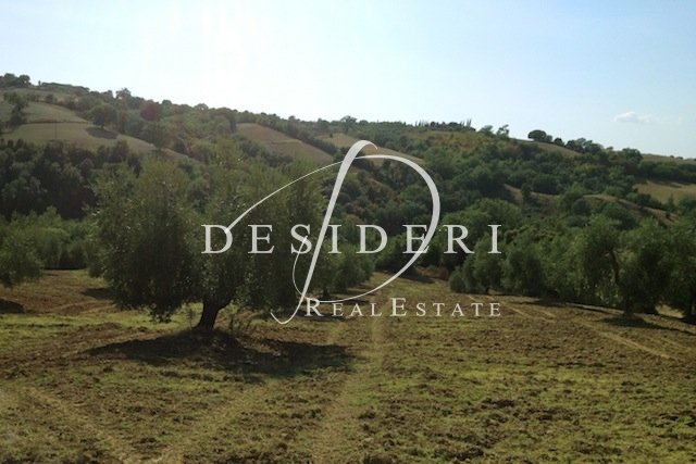 Country House in Scansano, Tuscany, Italy 4 - 15744684