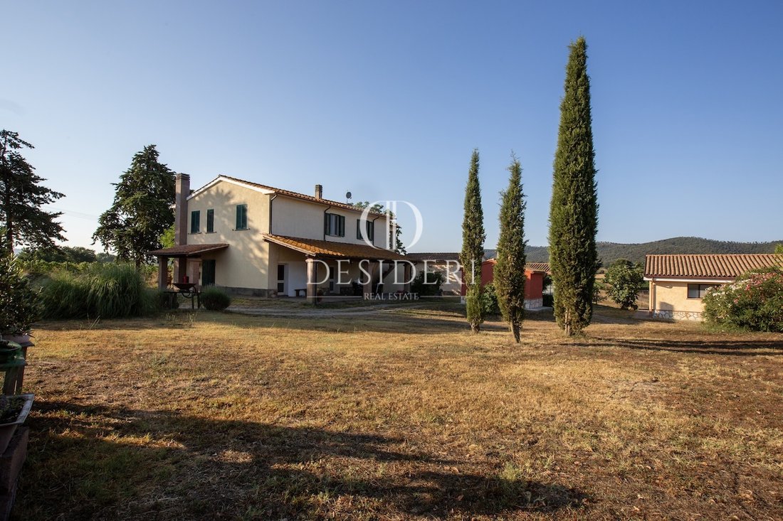 Land in Magliano in Toscana, Tuscany, Italy 1 - 15743613