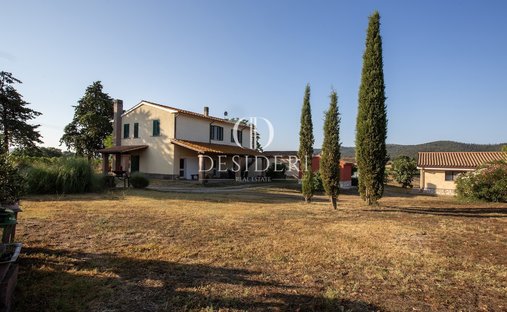 Land in Magliano in Toscana, Tuscany, Italy 1