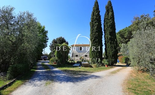Estate in Magliano in Toscana, Tuscany, Italy 1