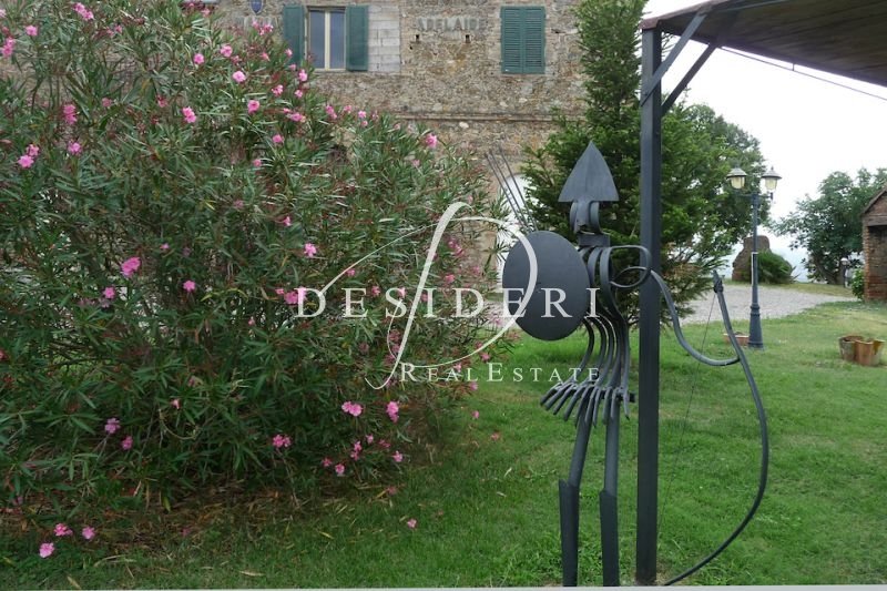 Estate in Civitella Marittima, Tuscany, Italy 4 - 15743756