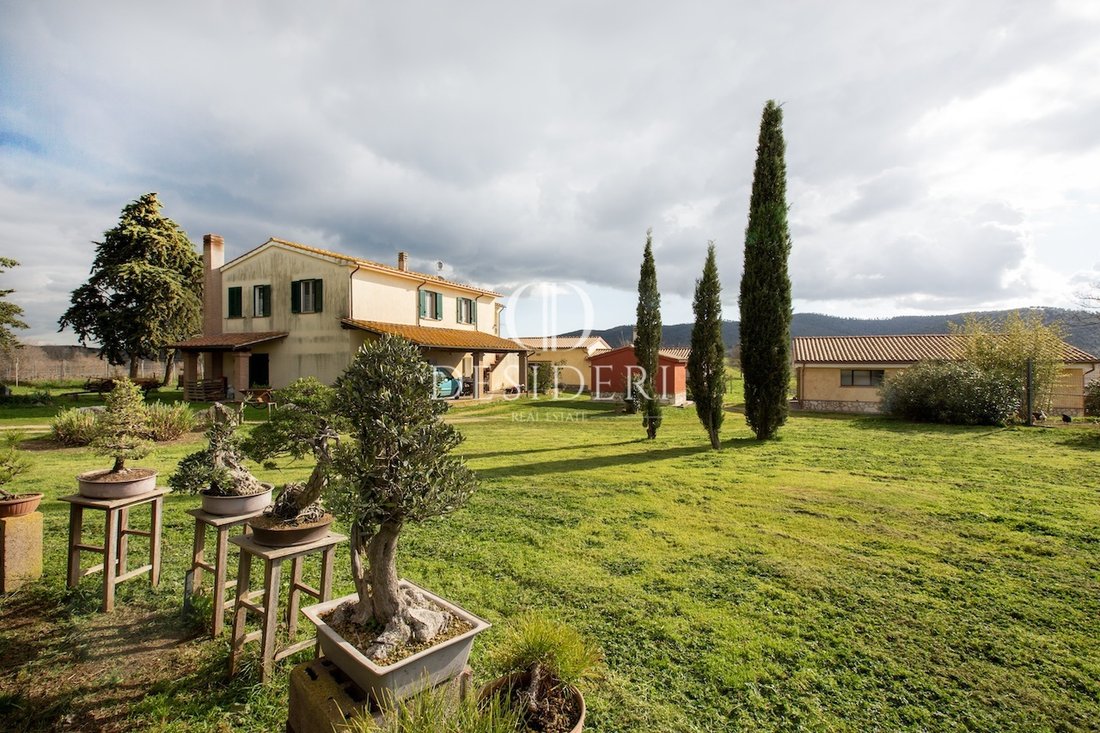 Land in Magliano in Toscana, Tuscany, Italy 5 - 15743613