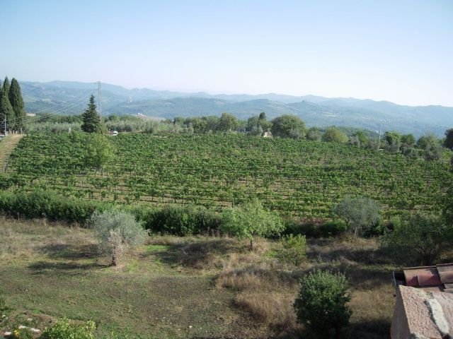 Villa in Castelnuovo Berardenga, Tuscany, Italy 1 - 15744248