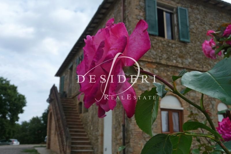 Estate in Civitella Marittima, Tuscany, Italy 1 - 15743756