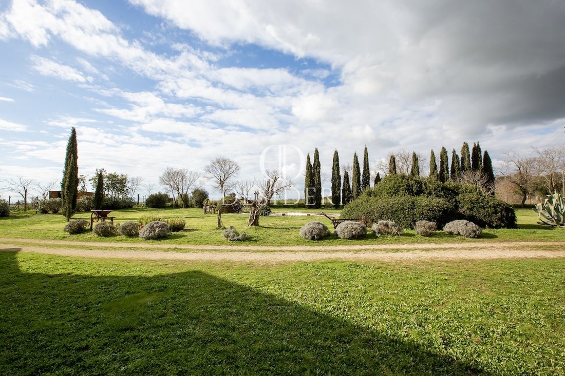 Country House in Magliano in Toscana, Tuscany, Italy 5 - 15744316